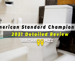 American Standard Champion 4 – 2021 Detailed Review