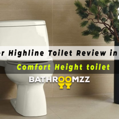 Kohler Highline Toilet Review in 2024 –  Comfort Height toilet
